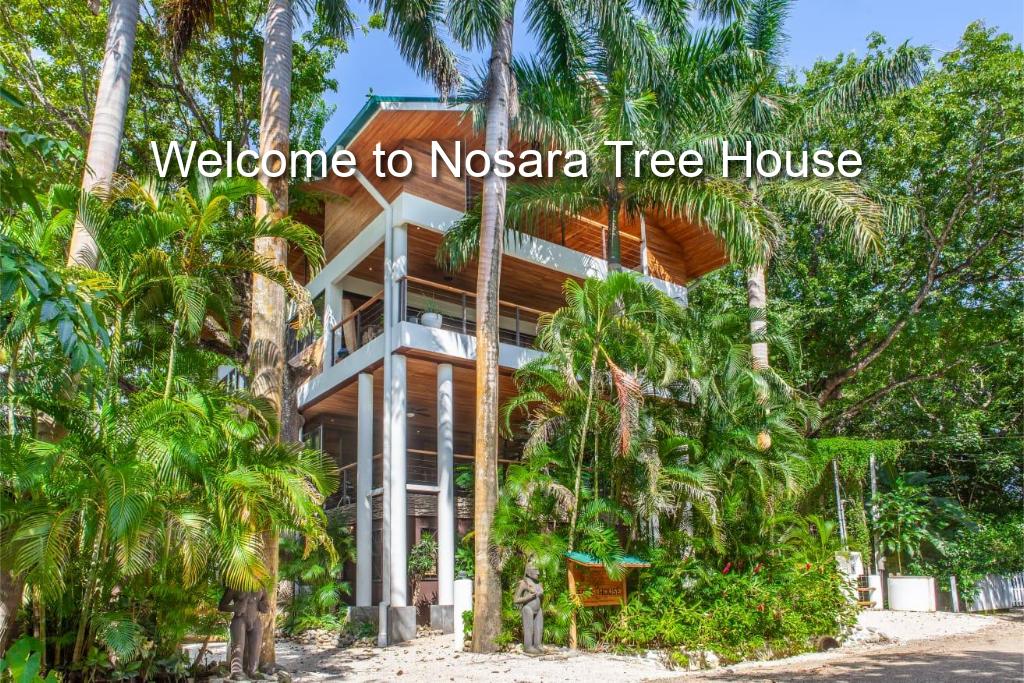 Nosara Tree House